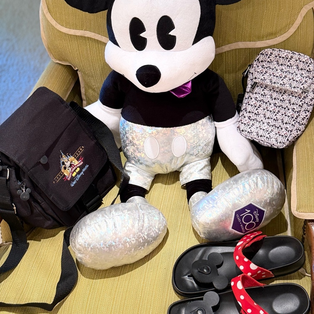 Mickey mouse bundle